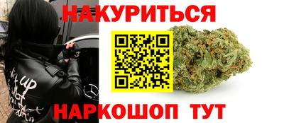 сатива Новодвинск